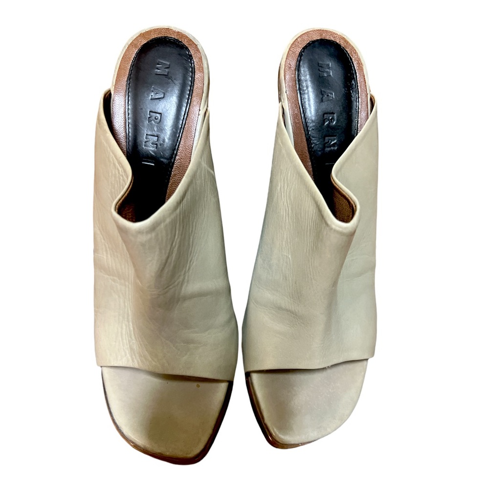 Marni Clogs / Mules